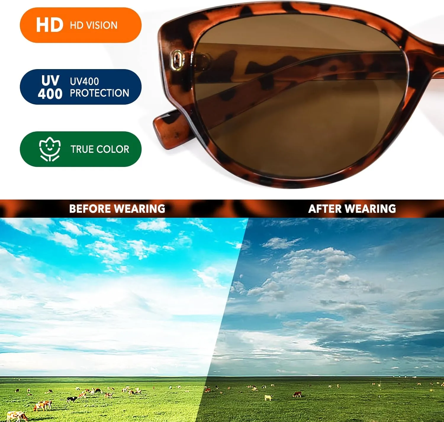 Cat Eye Sunglasses Womens Round Sun Glasses for Womens Retro Shades UV400 Protection Lightweight Eyewear